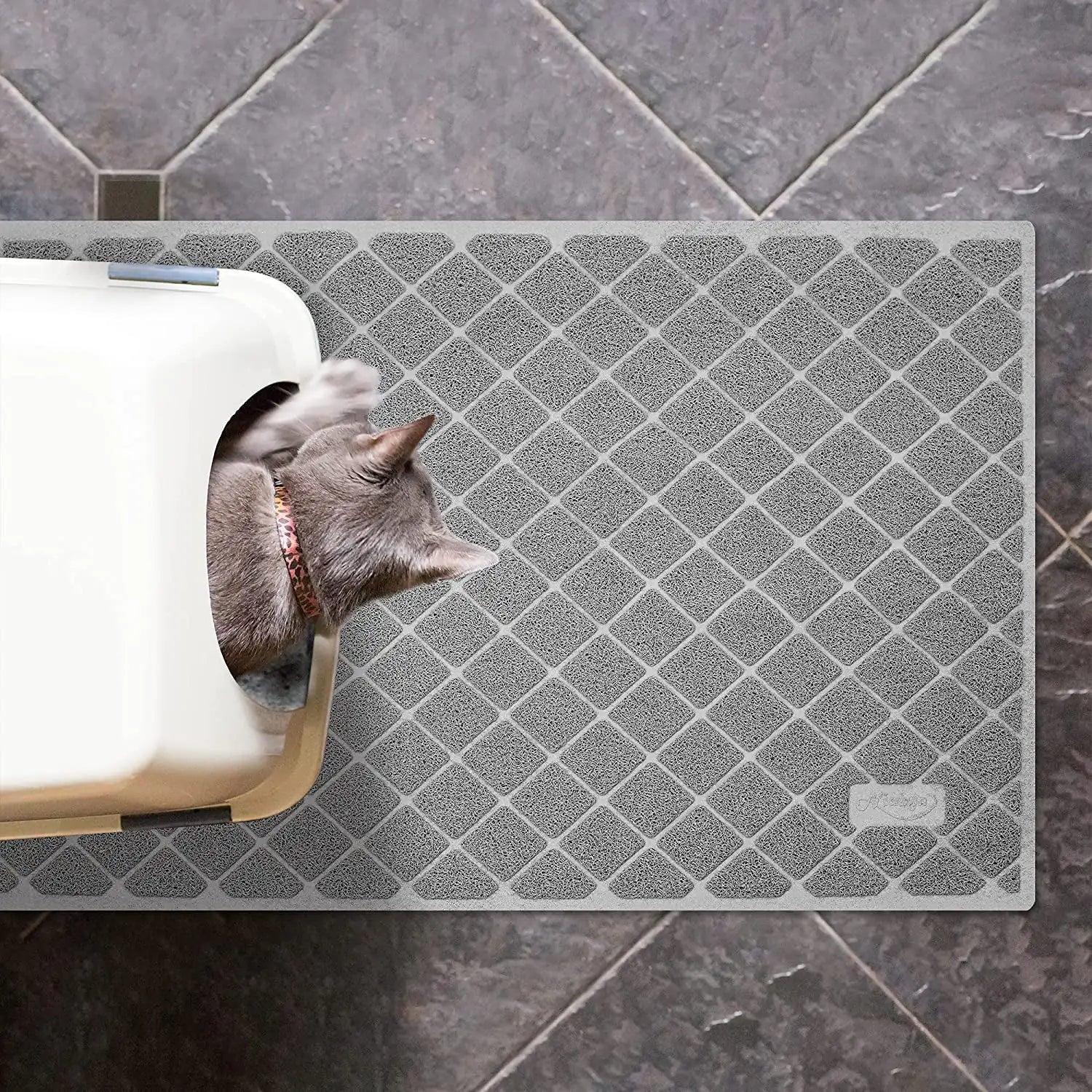 8hsjck9Rbm6irIq.webp